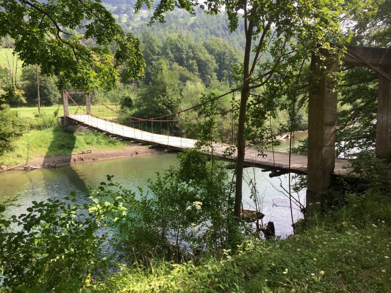 Taramour Cottages. Mojkovac Extérieur photo