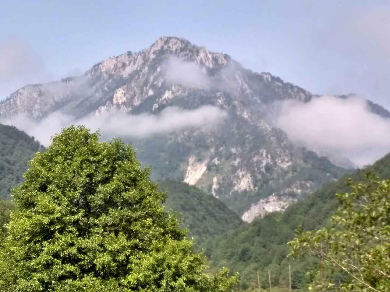 Taramour Cottages. Mojkovac Extérieur photo