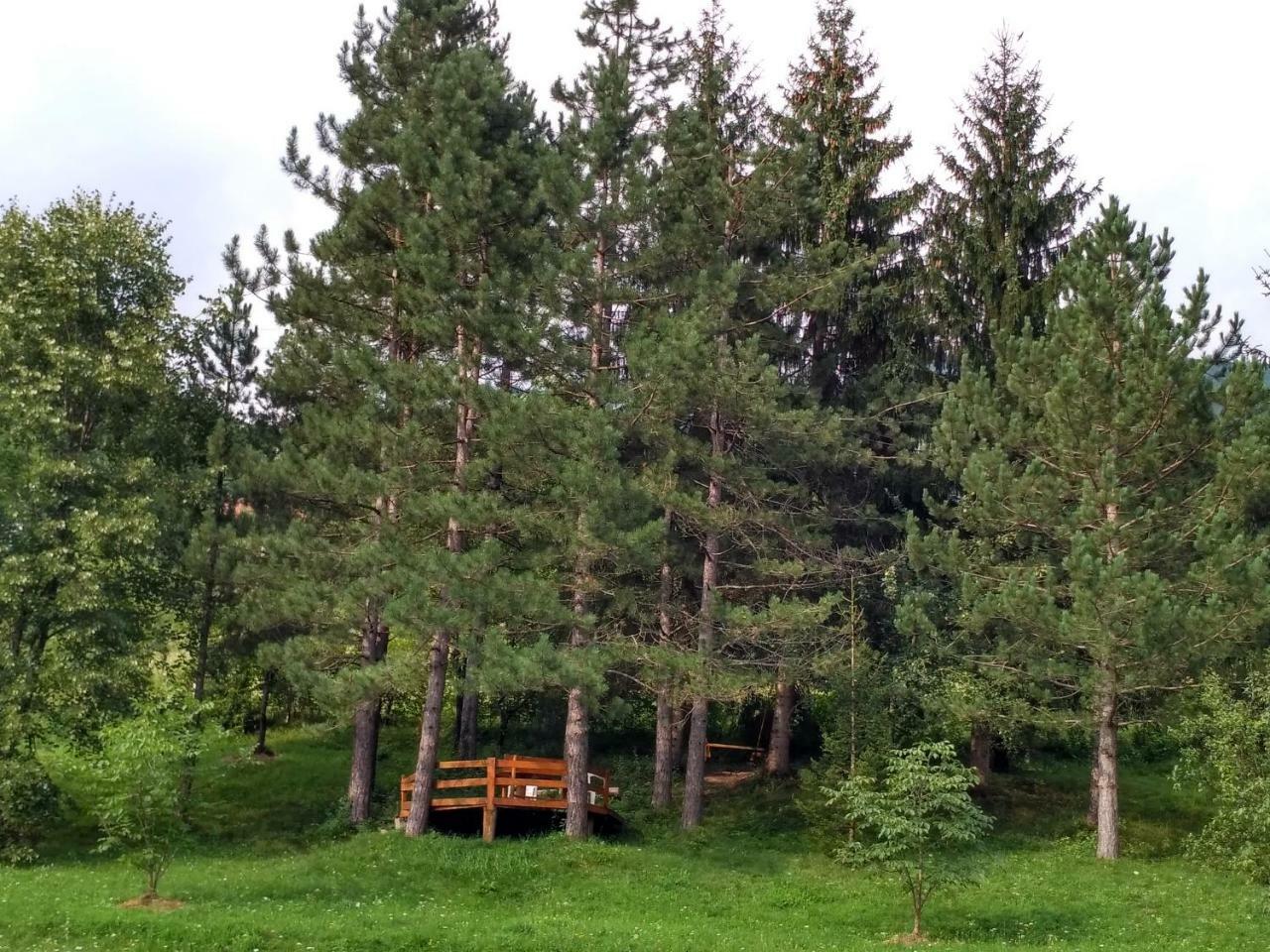 Taramour Cottages. Mojkovac Extérieur photo