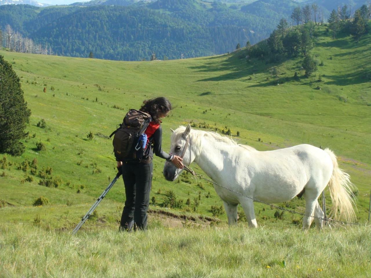 Taramour Cottages. Mojkovac Extérieur photo