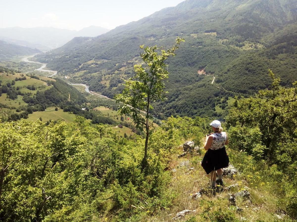 Taramour Cottages. Mojkovac Extérieur photo